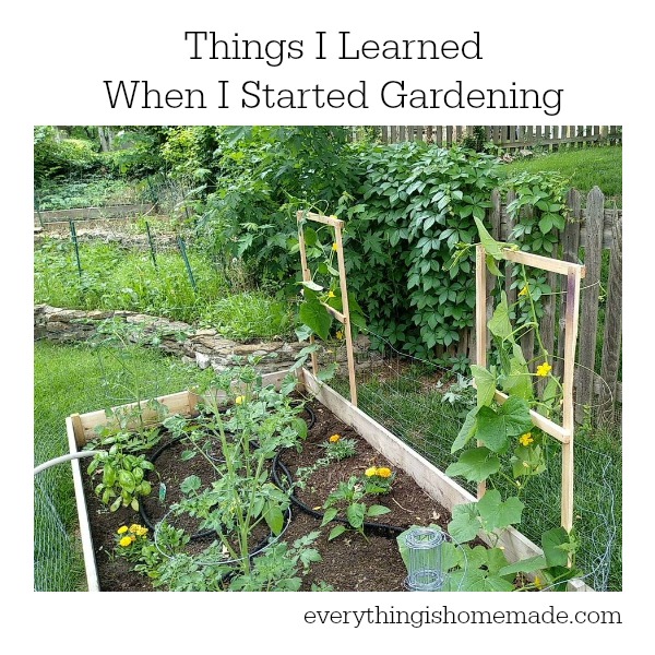 Learn Garden